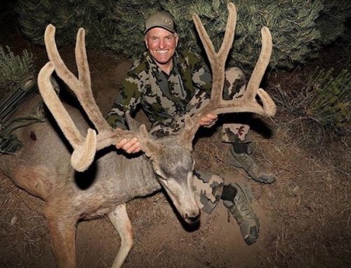 Over 5000 Inches Of Mule Deer Mass Taken With Easton Arrows